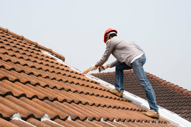 Best Roof Maintenance and Cleaning  in Rincon Valley, AZ